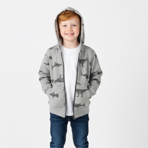 Carter's Other - Boys‎ dinosaur zip up hoodie Sz 5t